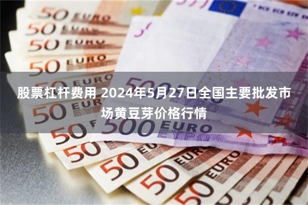 股票杠杆费用 2024年5月27日全国主要批发市场黄豆芽价格行情