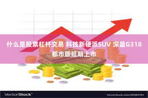 什么是股票杠杆交易 科技新硬派SUV 深蓝G318都市版延期