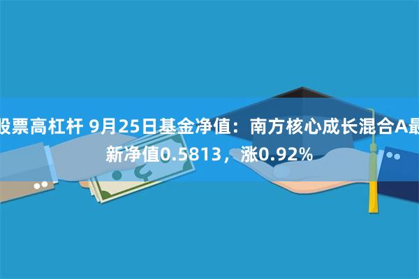 股票高杠杆 9月25日基金净值：南方核心成长混合A最新净值0