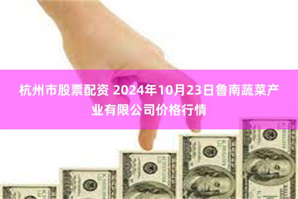 杭州市股票配资 2024年10月23日鲁南蔬菜产业有限公司价