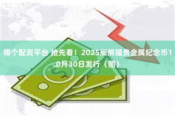 哪个配资平台 抢先看！2025版熊猫贵金属纪念币10月30日