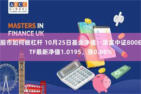 股市如何做杠杆 10月25日基金净值：添富中证800ETF最