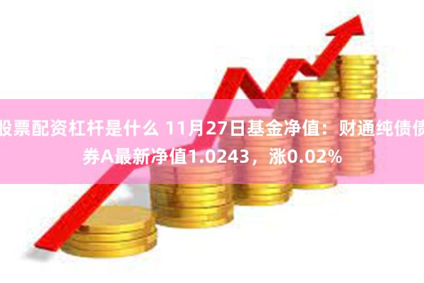 股票配资杠杆是什么 11月27日基金净值：财通纯债债券A最新