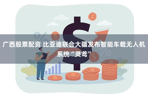 广西股票配资 比亚迪联合大疆发布智能车载无人机系统“灵鸢”